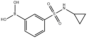 N-Cyclopropyl 3-boronobenzenesulfonamide