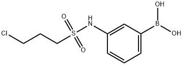 3-(3-Chloropropylsulfonamido)phenylboronic acid