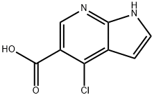 4-Chloro-1H-pyrrolo[2,3-b]pyridine-5-carboxylic acid