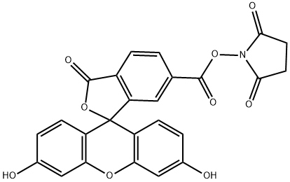 6-Carboxyfluorescein N-hydroxysuccinimide ester