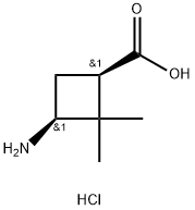 cis-3-amino-2,2-dimethylcyclobutanecarboxylic acid hydrochloride