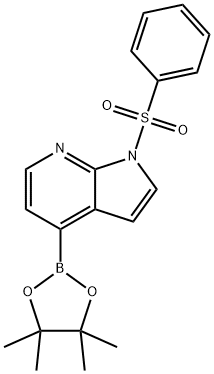 1-(benzenesulfonyl)-4-(tetramethyl-1,3,2-dioxaborolan-2-yl)-1H-pyrrolo[2,3-b]pyridine