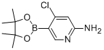 2-Amino-4-chloropyridine-5-boronic acid pinacol ester