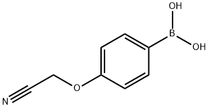 4-Cyanomethoxyphenylboronic acid