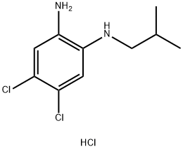 4,5-Dichloro-N1-isobutylphenylene-1,2-diamine, HCl