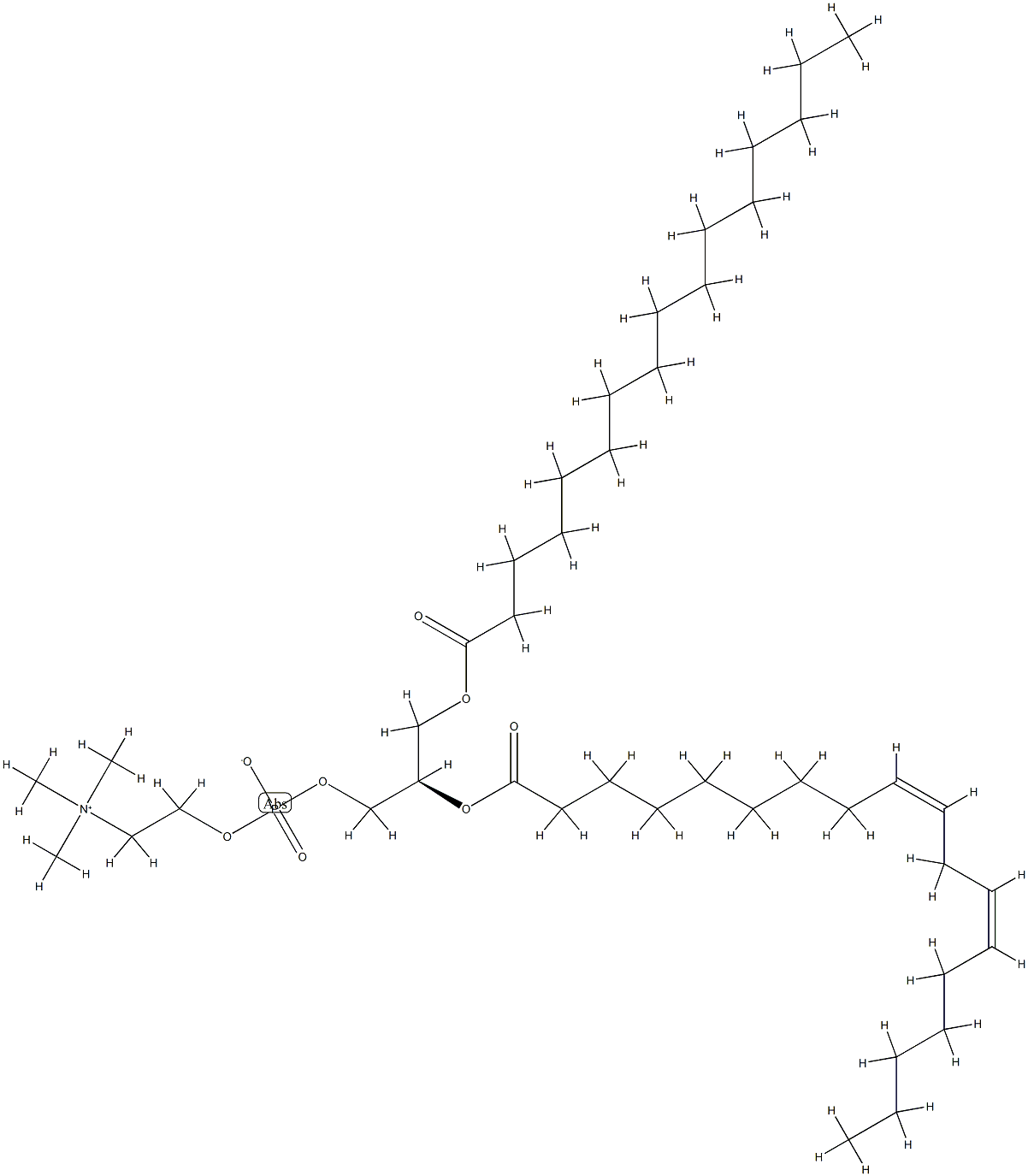 L-α-phosphatidylcholine (Soy)
